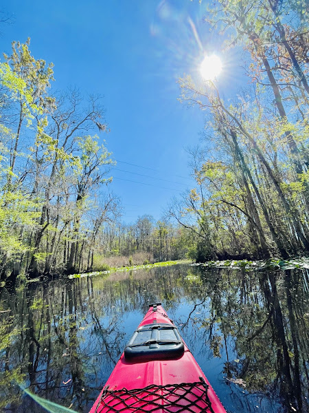 Florida Man Kayak Tours and Rentals - Canoe & kayak rental service in Jacksonville