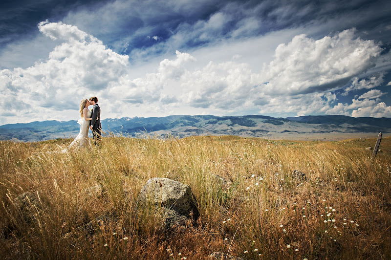 Lauren Brown Photography
