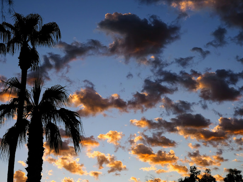 Signature Vacation Rentals