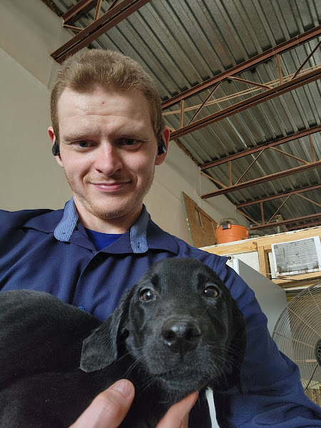 All Pet Care - Veterinarian in Clearwater