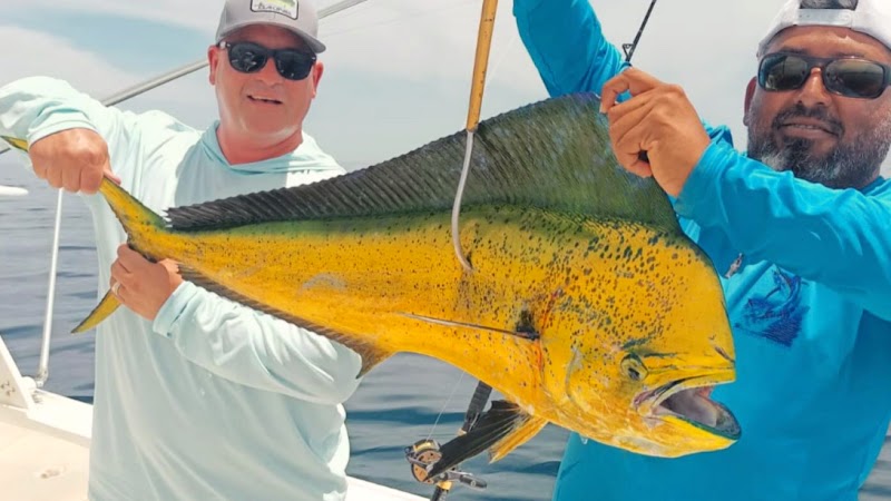 Boats Baja Fishing Charters - Fishing charter in P.º de La Marina 18