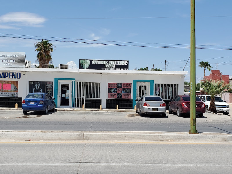 Stark Fitness Gym - Gym in José López Portillo