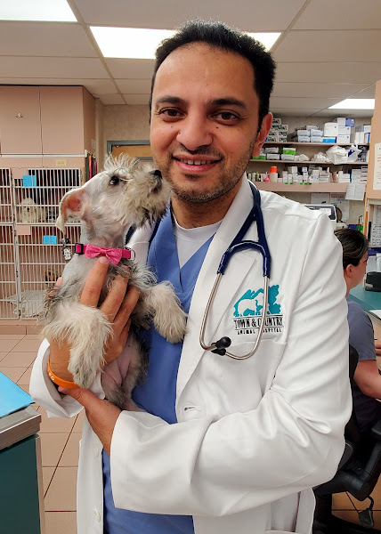 Town and Country Animal Hospital