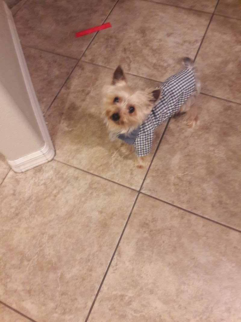 Cheyenne West Animal Hospital - Animal hospital in Las Vegas