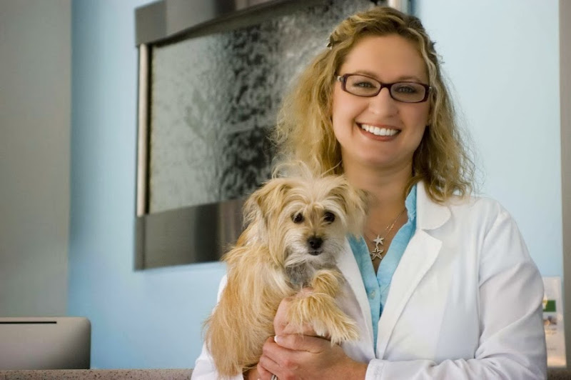 Olde Naples Animal Wellness Center - Veterinarian in Naples