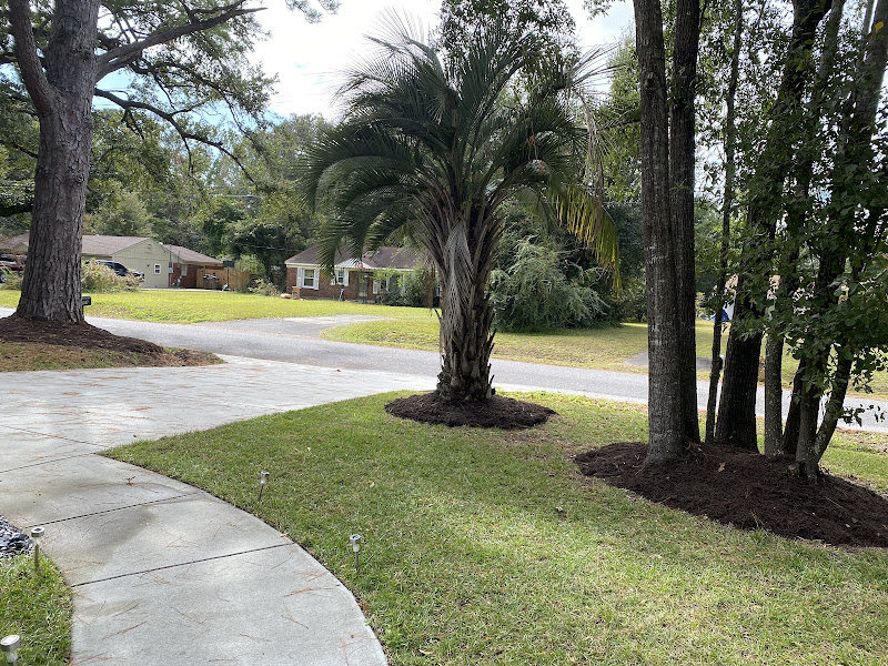 Bells Landscaping Charleston - Lawn care service in Charleston