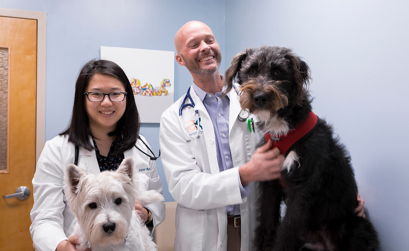 Animal Clinic East - Veterinarian in Chattanooga