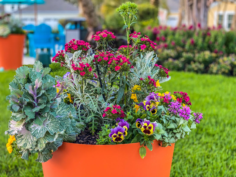 The Greenery Garden Center Gift & Home