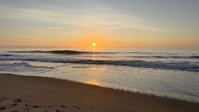 Ocean City Beach - Tourist attraction in Ocean City