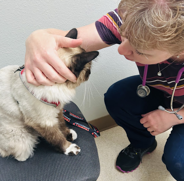 All Valley Pet Clinic at Emerald