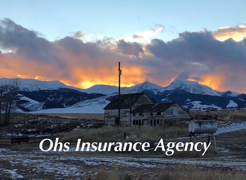 Ohs Insurance