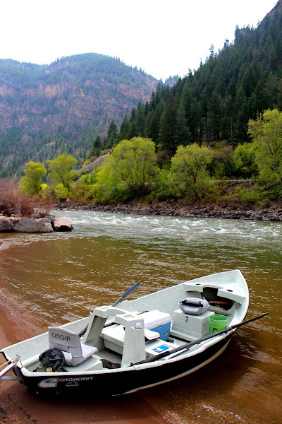 Aspen Flyfishing Inc - Fishing charter in 555 E Durant Ave
