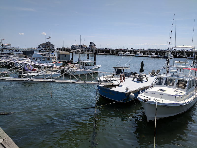 Provincetown Marina - Marina in Provincetown