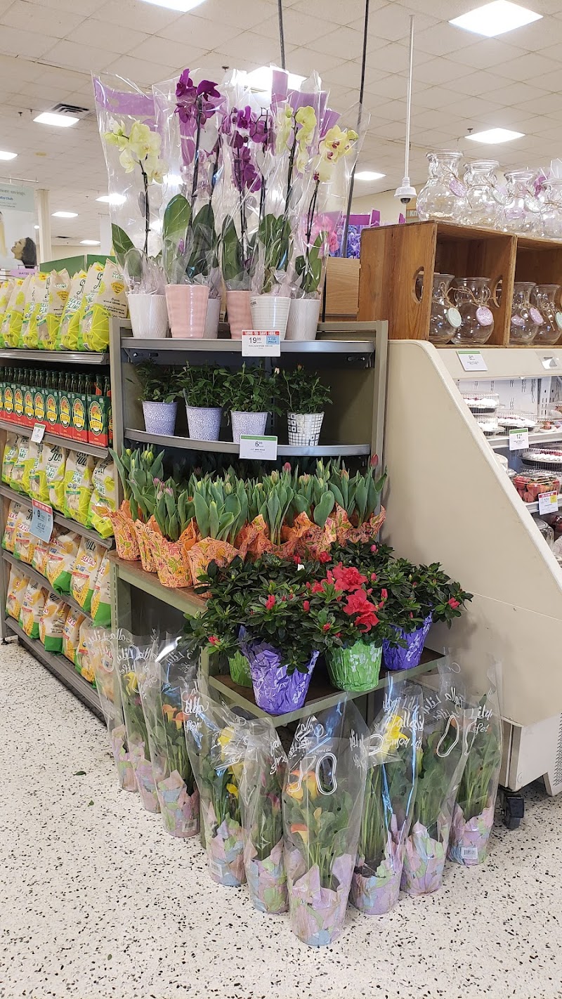 Publix Super Market at Plaza at Millenia photo