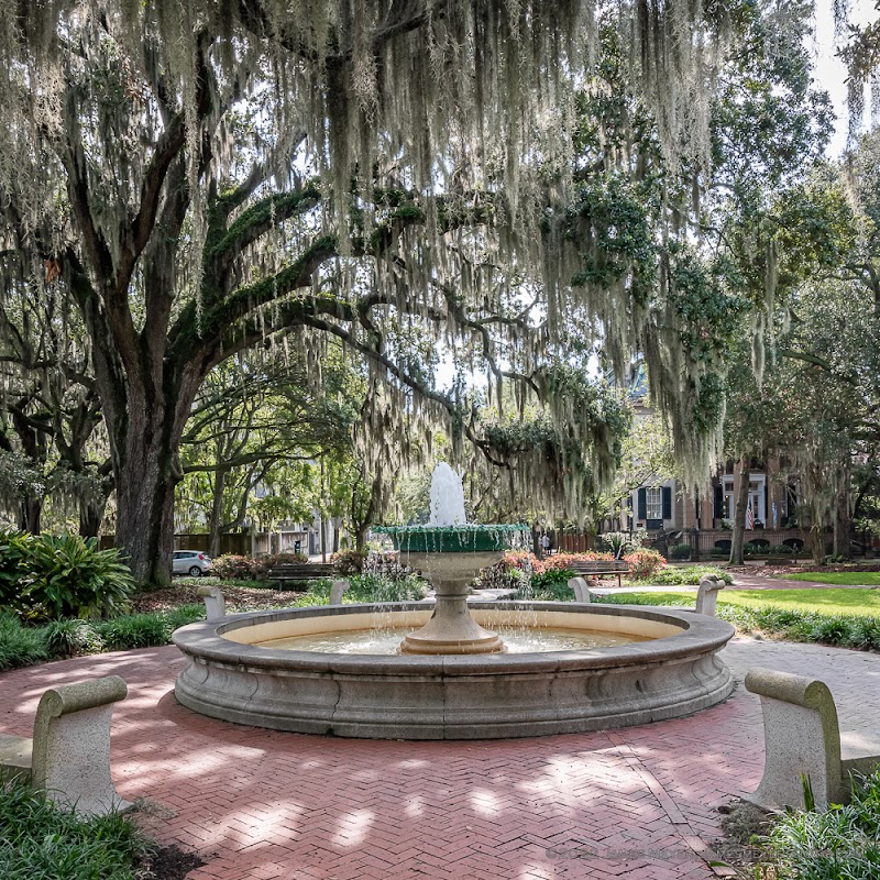 Orleans Square - Tourist attraction in GA 31401