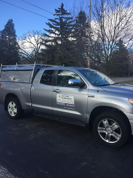 Vector Pest Management