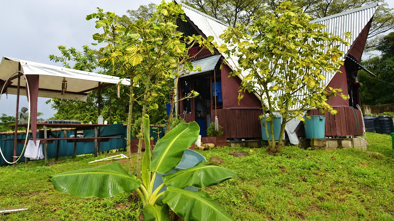 SunCampDR - Campground in Puerto Plata 57000