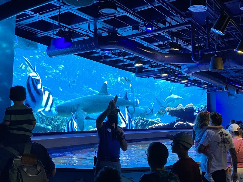 Audubon Aquarium photo