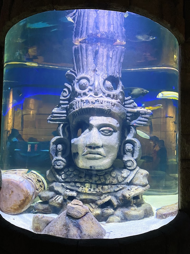 Audubon Aquarium photo