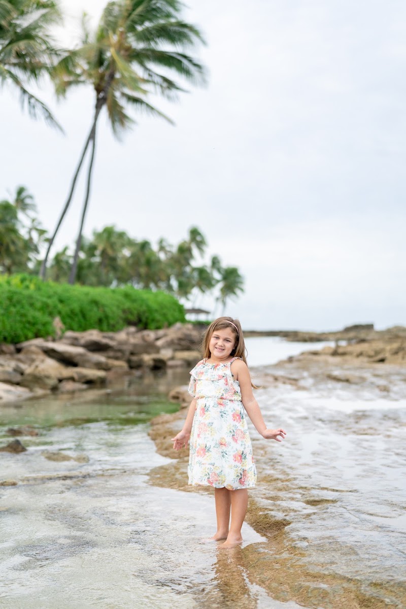 StephanieH Photography, LLC photo