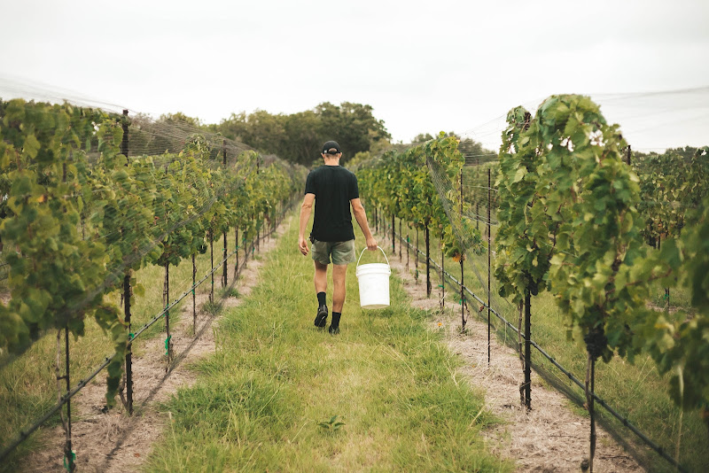 The Austin Winery