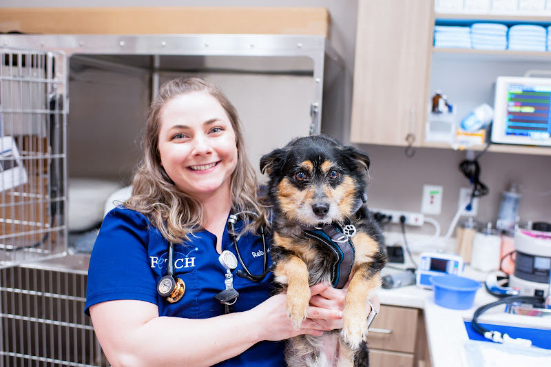Fetch Specialty & Emergency Veterinary Centers - Clearwater, FL - Emergency veterinarian service in Clearwater