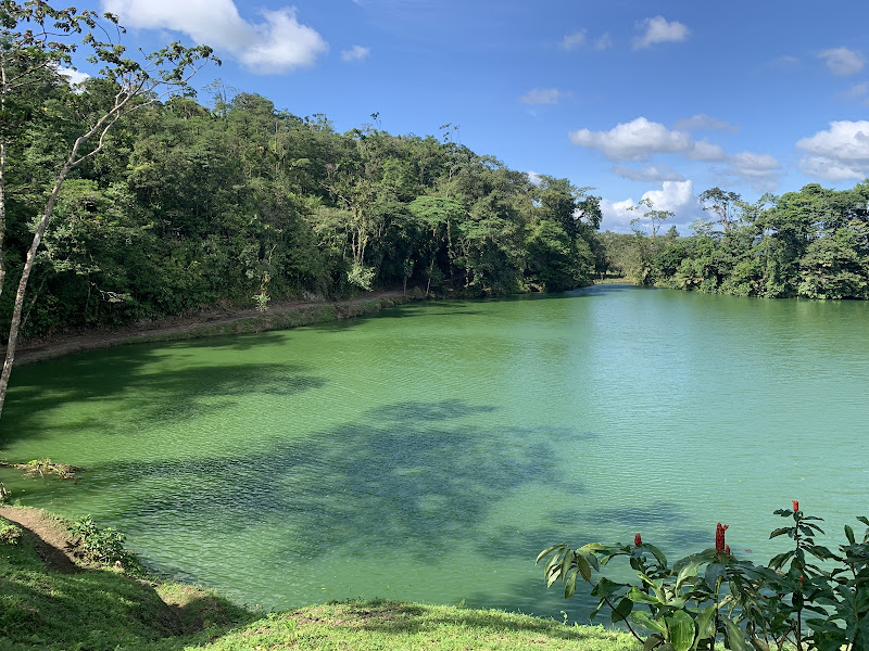 Arenal Park