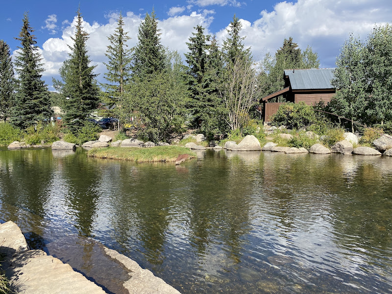 Breckenridge Alpine Garden - Tourist attraction in Breckenridge
