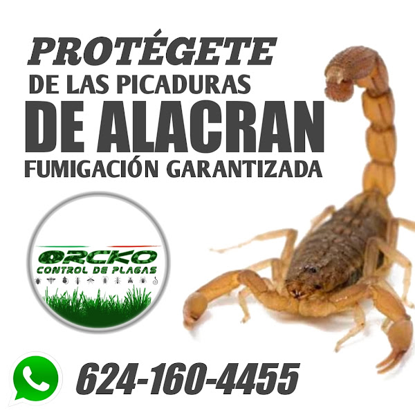 Fumigaciones los cabos - Pest control service in El Caribe