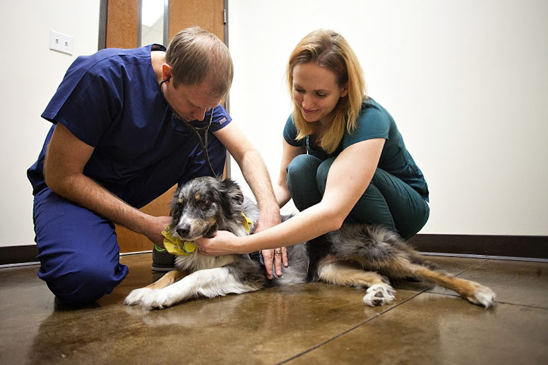 South Park Animal Hospital
