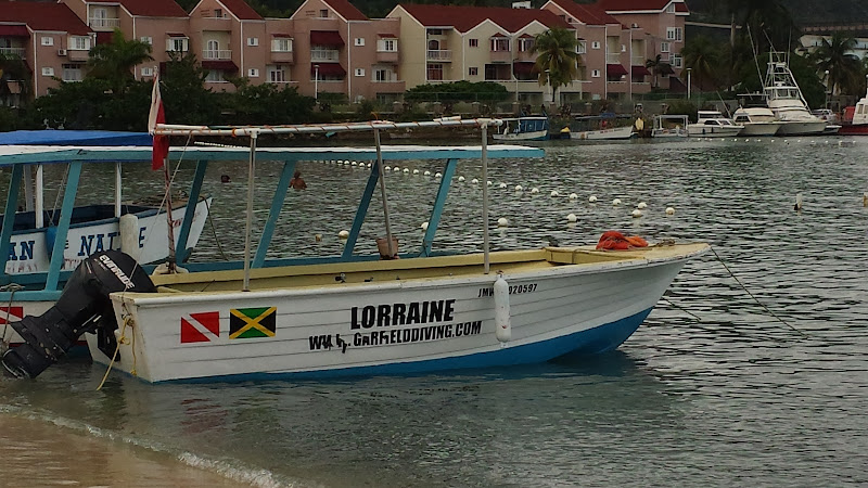 Garfield Diving Station - Boat rental service in Ocho Rios Marina