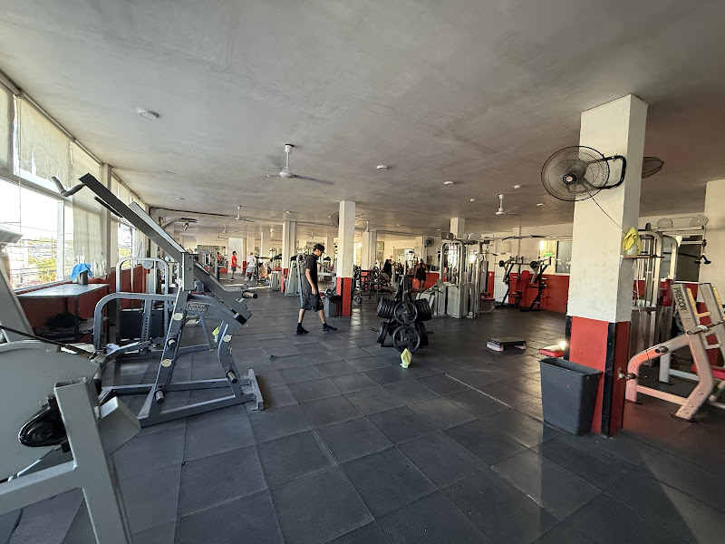 Stay Fit - Gym in Hojazen