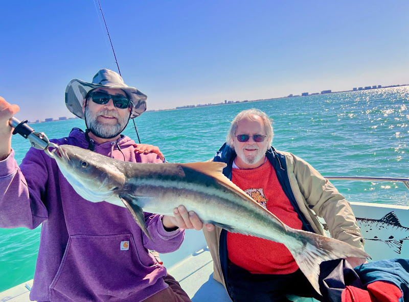 Sarasota Family Friendly Fishing Charter Boat - Fishing charter in Sarasota