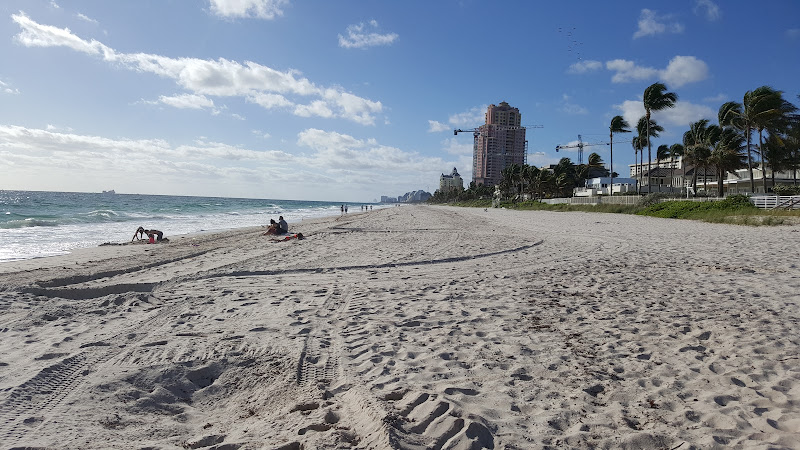 Loggerhead Park