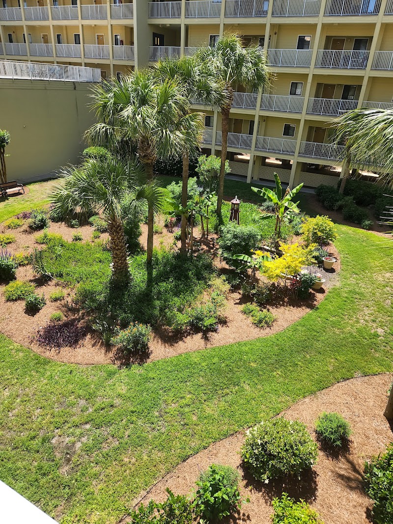Hilton Head Ocean View Vacation Rental photo