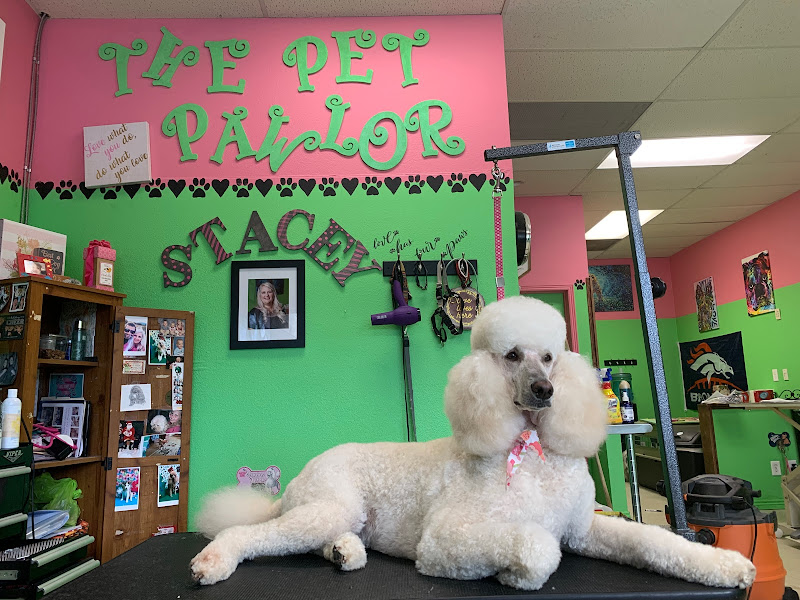 The Pet Pawlor - Pet groomer in Colorado Springs