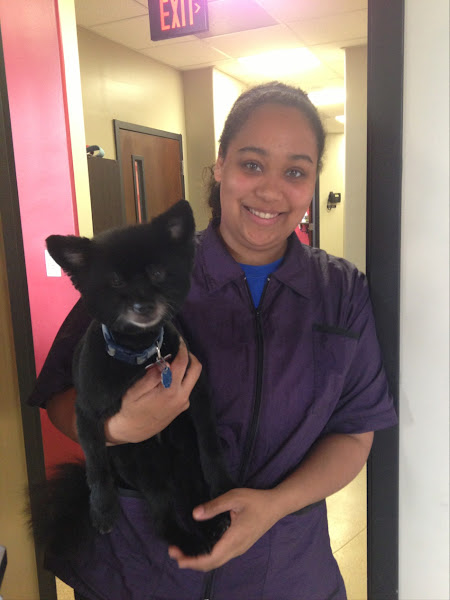 All Star Animal Clinic