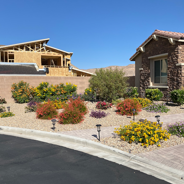 Cacti Landscapes Las Vegas