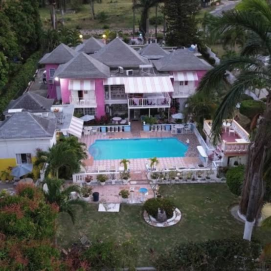 Pink Hibiscus Villa - Villa in Montego Bay