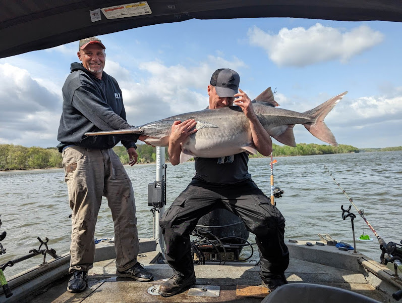 All Out Guide Service - Lake of the Ozarks and Truman Lake - Fishing charter in Edwards