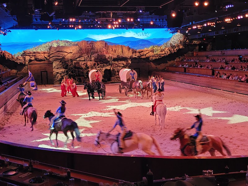 Dolly Parton's Stampede photo