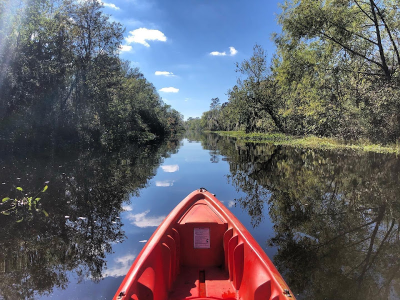 Plantation & Kayak Swamp Tours New Orleans