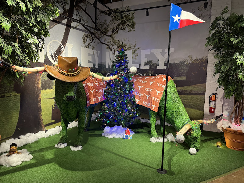 Holey Moley Golf Club Austin