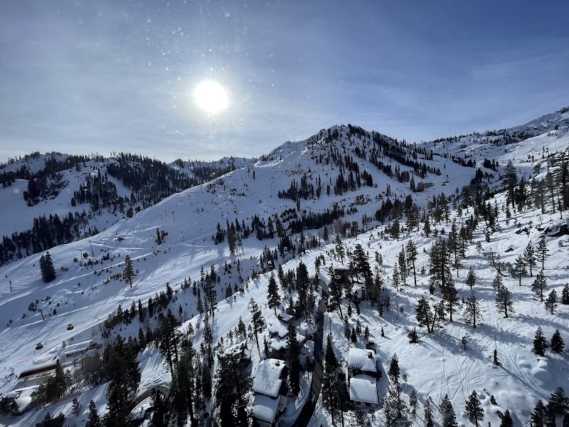 Tahoe National Forest photo