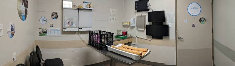 VCA University Animal Hospital - Veterinarian in Honolulu