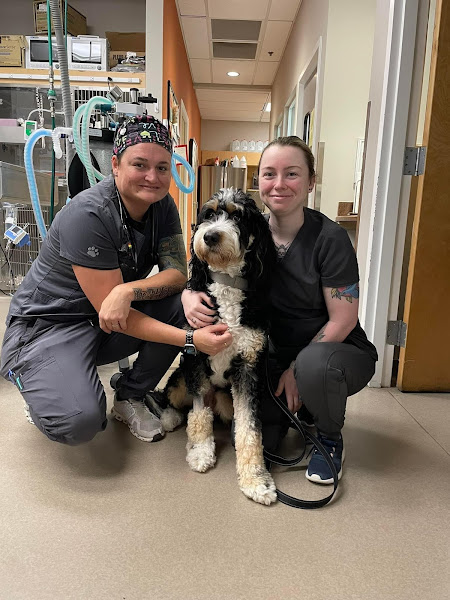 Veterinary Specialty Hospital of Palm Beach Gardens