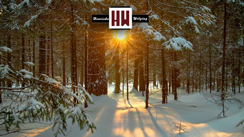 Henricks Wilging Insurance
