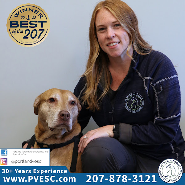 Portland Veterinary Emergency and Specialty Care