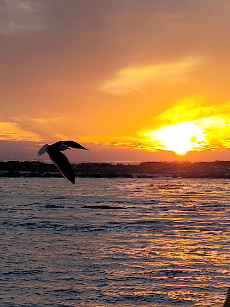 Destin-West Jetty - Tourist attraction in FL 32541