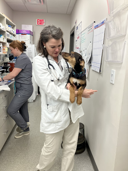 Berry Hill Animal Hospital